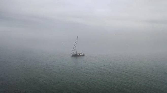 드미트리 코크는 러시아 북동쪽 추코트카 반도 주변을 항해하던 중에 북극곰을 발견했다