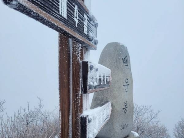 양평 용문산 백운봉 정상에 내린 설경. 독자 제공