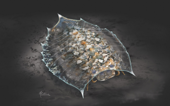 5억 8000만년 전 캄브리아기에 바다 밑을 기어다닌 절지동물 헬멧티아 복원도. 출처=Marianne Collins