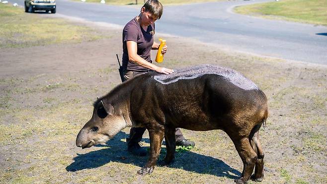 피부암 관련 단체들은 외출하기 20~30분 전 자외선 차단제를 바르도록 권장한다