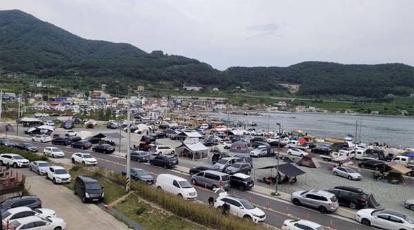부산 천성항 일대 유휴지 곳곳에 캠핑을 위한 텐트가 설치돼 있다. 강서구의회 제공