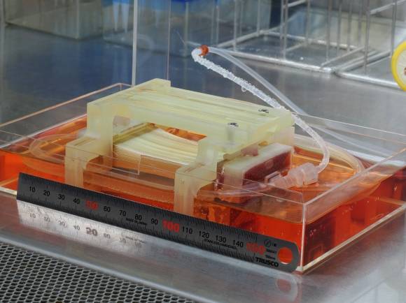 일본 도쿄대 연구팀이 닭고기와 비슷한 식감과 적당한 두께를 가진 배양육을 만들기 위해 제작한 생물반응기. 일본 도쿄대 제공