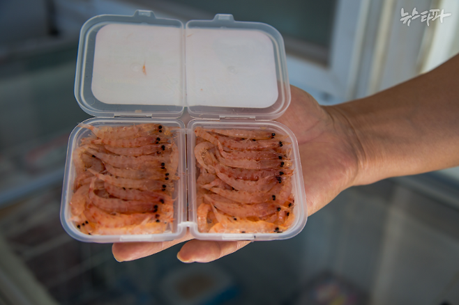 ▲경북 포항시 한 낚시용품 가게에서 판매 중인 남극크릴 미끼 제품을 포착했다. (사진: 트리스틴 테일러)