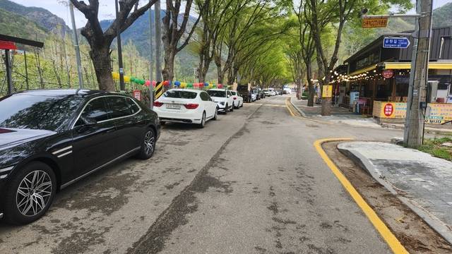 국립공원주왕산 탐방로가 입산이 통제돼 상가 주변에는 점심시간을 이용해 식사하는 차량들만 주차되어 있다./김종철기자