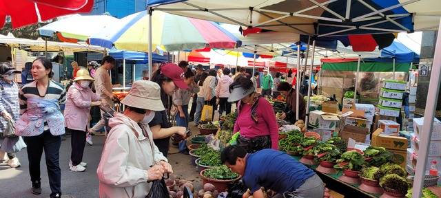 21일 오후 대구 근교 5일장으로 유명한 반야월종합시장을 찾은 시민들이 싼 값에 채소류를 사기 위해 북적이고 있다. 권영진 기자