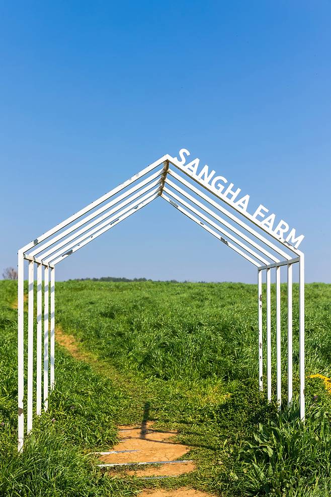 젖소들을 방목했던 방목장은 젖소들이 퇴거한 후 '목초지 포토존'이 됐다. 목초지 옆으로는 산책길이 이어진다. / 이건송 영상미디어 기자