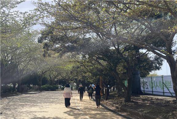 제주시 애향운동장 산책로(출처 : 제주시청)