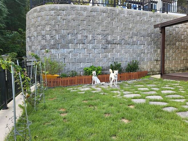 IMG_6219.jpeg 티눈이고 코딱지고 나발이고 ㅅㅂ거