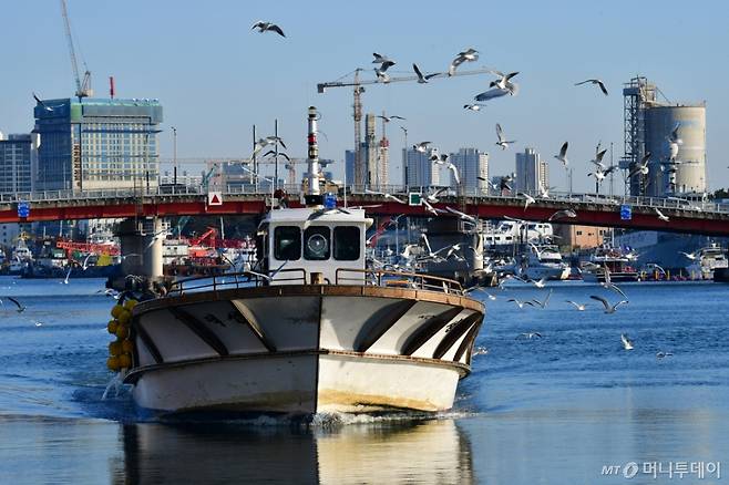 아침 조업을 마친 어선이 한 어시장 위판장으로 들어오고 있다. /사진=뉴스1.