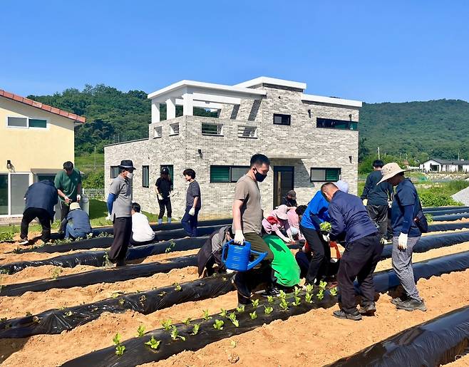 정성영농조합법인의 구성원들이 배추 모종을 심는 모습. 발달장애인과 지역 주민이 함께 어우러져 협업하는 장면으로, 농업을 통한 자립 기반을 다지는 과정을 보여준다. 사진=정성영농조합법인 제공.