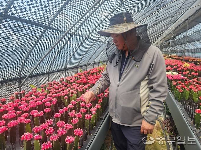 이재규 씨가 본인이 재배하는 접목선인장에 대해 설명하고 있다. 이보현 기자