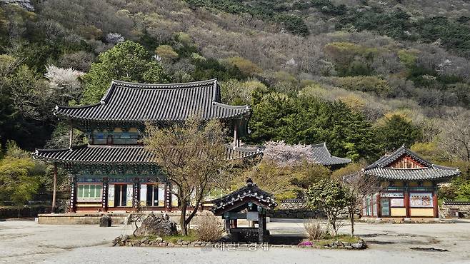 전남 장흥군 보림사 전경