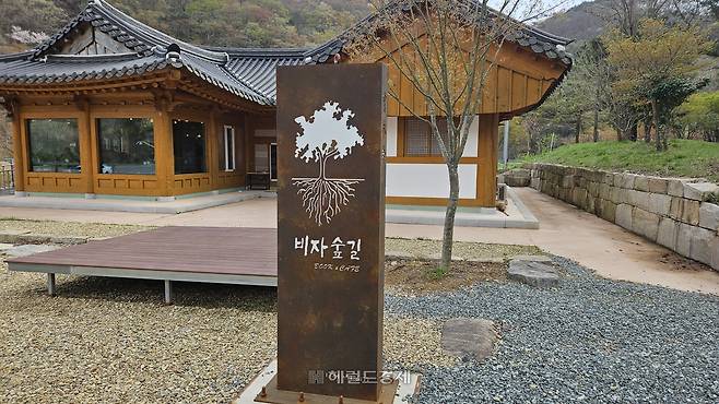 비자숲길