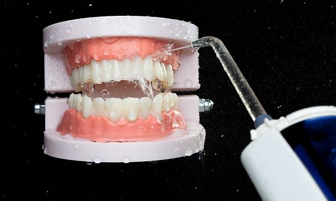 사진=게티이미지뱅크