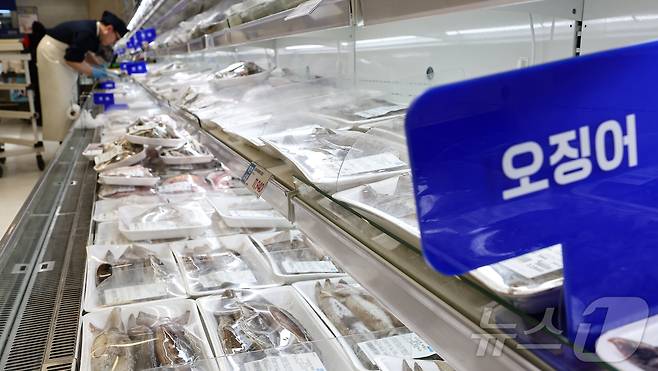 22일 서울 시내 한 대형마트에 진열된 오징어. 2025.4.22/뉴스1 ⓒ News1 김도우 기자