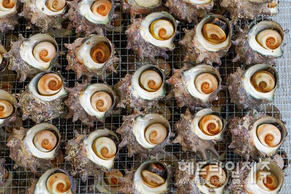 우도 소라축제. (사진=우도면사무소)