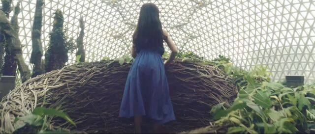 ‘새둥지 포토존’ 안에 사람이 들어가 사진을 찍을 수 있다. 거제시 공식 유튜브 홍보 영상 캡처