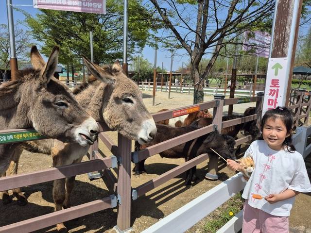 어린이와 동물, 탁 트인 들판을 사랑한다면 이곳을 가보자. 농협안성팜랜드는 한때 아시아 최대 규모를 자랑했던 목장형 테마파크다.