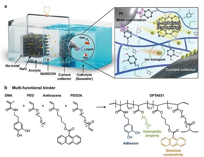 해수 전지용 고분자 바인더 제작 개요