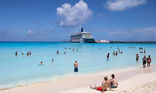 여름철 해변가 등에서 상어에 공격당하는 사고가 잇따르고 있다. 게티이미지