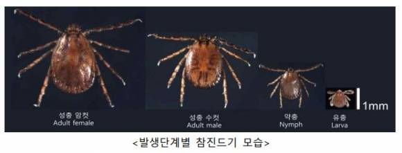 질병관리청 제공