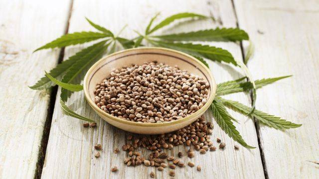 대마씨는 햄프씨드라는 이름으로도 유통된다|출처: 클립아트코리아