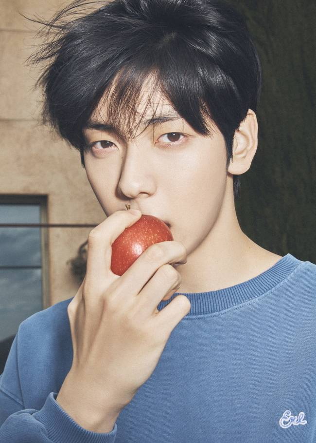 빅히트 뮤직 제공