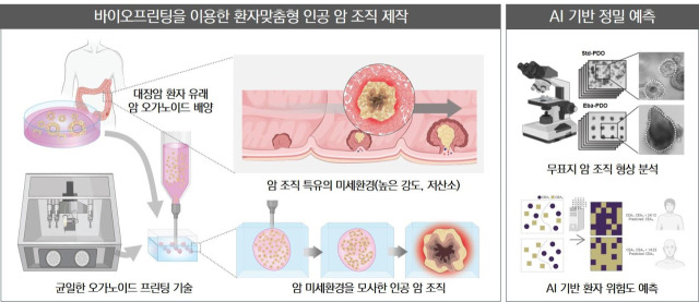 환자 맞춤형 인공 암 조직 바이오프린팅과 이를 기반으로 하는 환자 예후 예측 AI. 연구그림=유니스트