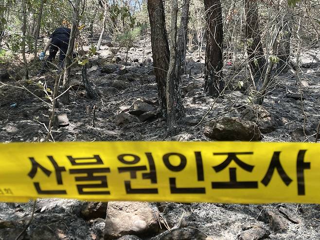 국립산림과학원과 경찰 등이 30일 대구 북구 노곡동 함지산에서 산불 원인 등을 밝히기 위해 감식을 벌이고 있다. 연합뉴스
