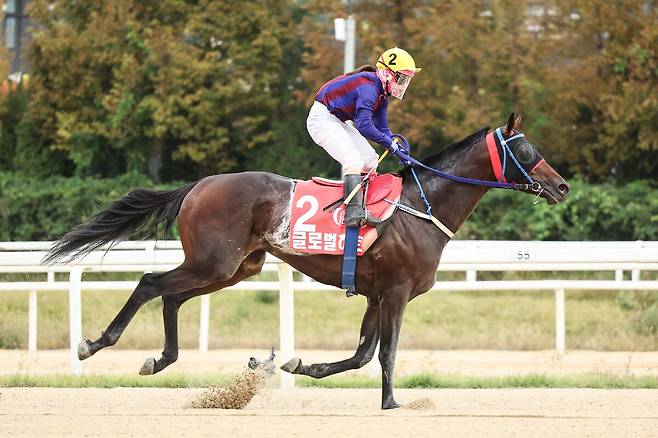 김혜선 기수가 ‘운명의 단짝’인 글로벌히트를 타고 레이스를 펼치고 있다. 김혜선 기수는 글로벌히트와 함께 대상경주 8승을 비롯해 여성 최초 그랑프리 우승을 차지했고 ‘꿈의 무대’로 불리는 두바이 월드컵에도 참가했다. 한국마사회 제공
