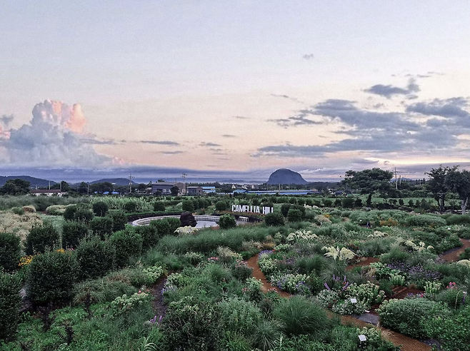 사진=카멜리아힐 홈페이지 캡쳐.