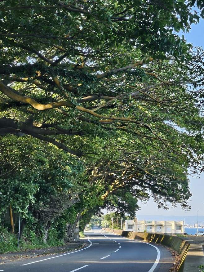 3fb8c32fffd711ab6fb8d38a4784766d5e6af33aa4ce95b8600d431cdcf3b38e9db9e9fa86cc72fdba6efc62803f