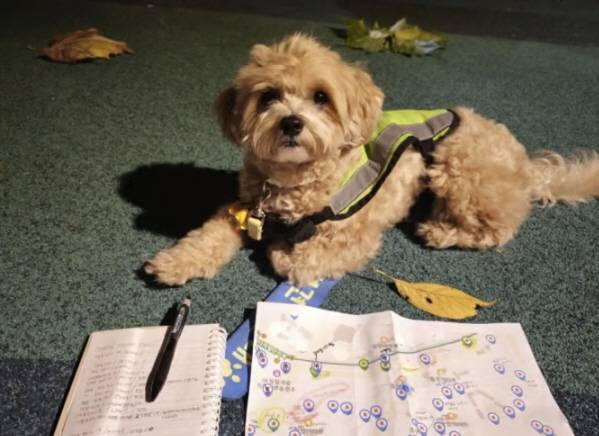 지난 2022년 서울에서 시범 사업으로 시작한 사업이 전국으로 확산돼 활발히 운영되고 있다. /사진=서울시