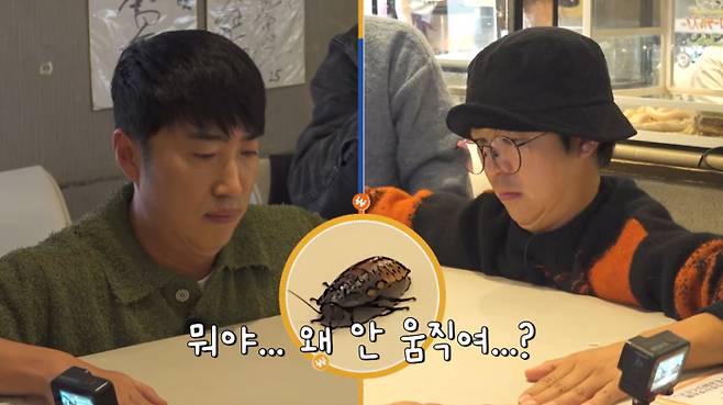 채널S, SK브로드밴드, K·star, NXT