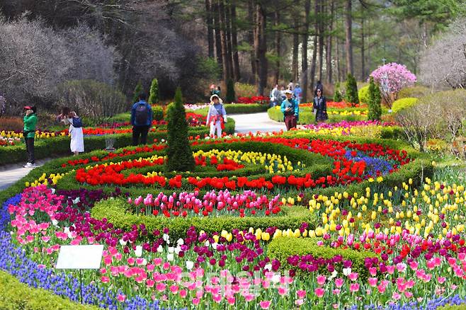 아침고요수목원 하늘길(사진=아침고유수목원)