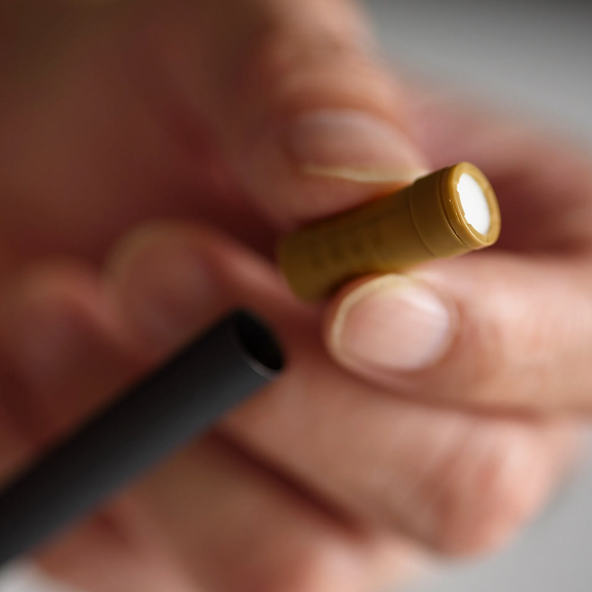 이 전자담배는 담뱃잎 및 기타 성분으로 만들어진 스틱, 포드, 캡슐 또는 플러그를 전자 요소로 가열한다