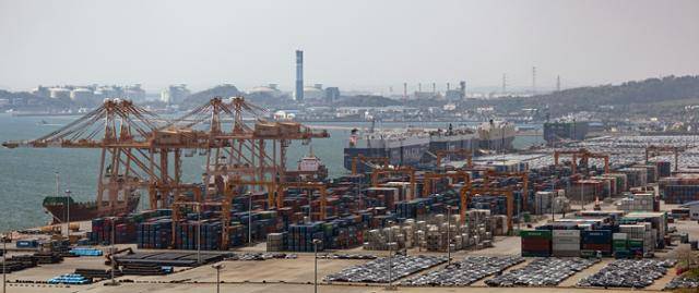 4월 25일 경기도 평택시 포승읍 평택항. 뉴스1