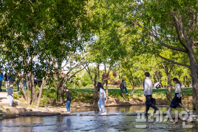 ▲4일 순천만국가정원 내 개울길에서 관람객들이 돌다리를 건너고 있다.ⓒ순천시