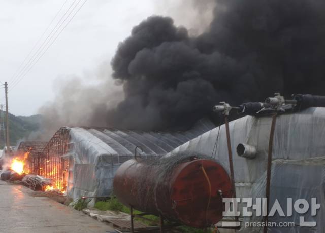 ▲진상 비닐하우스 화재ⓒ독자