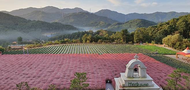 사진=허브아일랜드 캡처