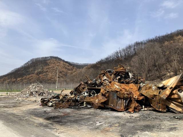 ▲지난 4월 24일 경북 의성군 점곡면 사촌1리 전소된 집이 철거된 모습. 검게 탄 소나무숲이 사촌1리를 감싸고 있다. ⓒ프레시안(손가영)