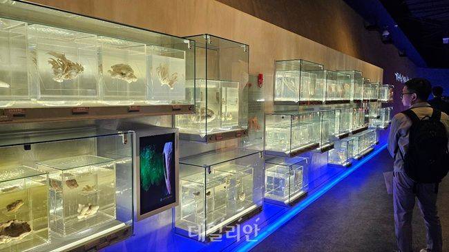취재진이 개관 10주년을 맞은 국립해양생물자원관 전시물을 둘러보고 있다. ⓒ데일리안 장정욱 기자
