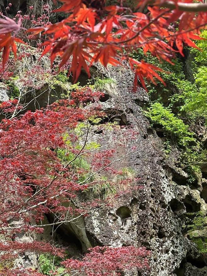 7ce5f171bc876df0239ef0974e9c706572f6ee0a0e56b60f85eba7da6af0dc1356973c186724cb0111749bc0fed2bda51960f0dfdf