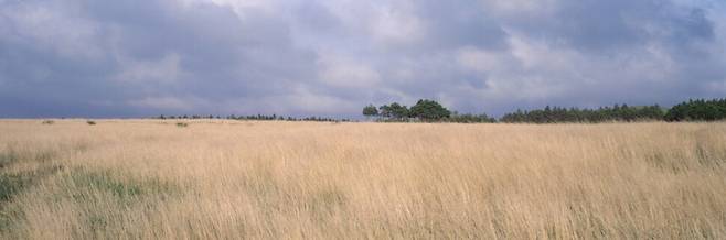 생전 김영갑이 찍은 제주시 구좌읍 용눈이오름 밑 들판. 두모악 제공