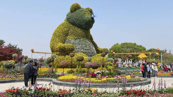 2025 고양국제꽃박람회 메인 조형물인 ‘황금판다’에서 관람객들이 기념촬영을 하고 있다. 신진욱기자