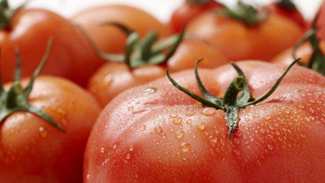 토마토 껍질에는 붉은 색소 성분이 있다|출처: 클립아트코리아