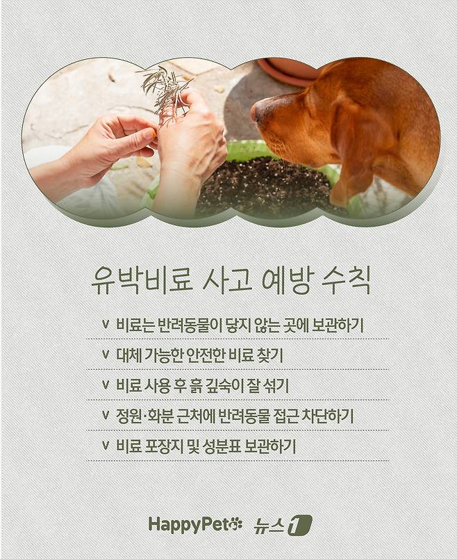 ⓒ News1 윤주희 디자이너