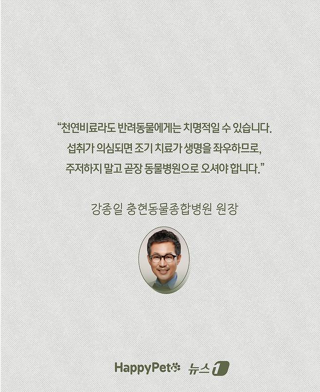 ⓒ News1 윤주희 디자이너