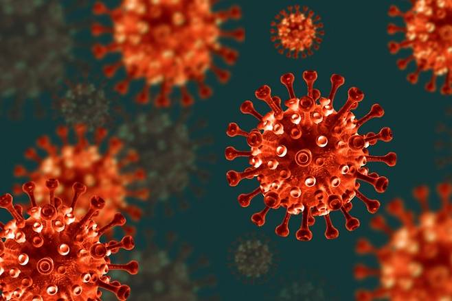 코로나19 바이러스는 야생동물 거래로 인해 인간에게 퍼졌을 것이란 연구 결과가 나왔다. 게티이미지뱅크 제공.