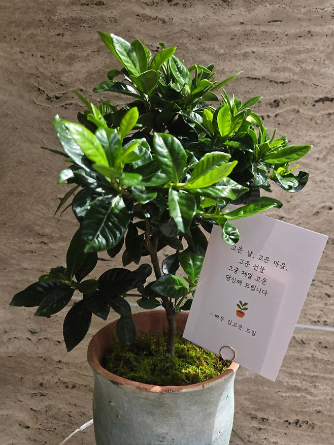 사진=BH엔터테인먼트 제공